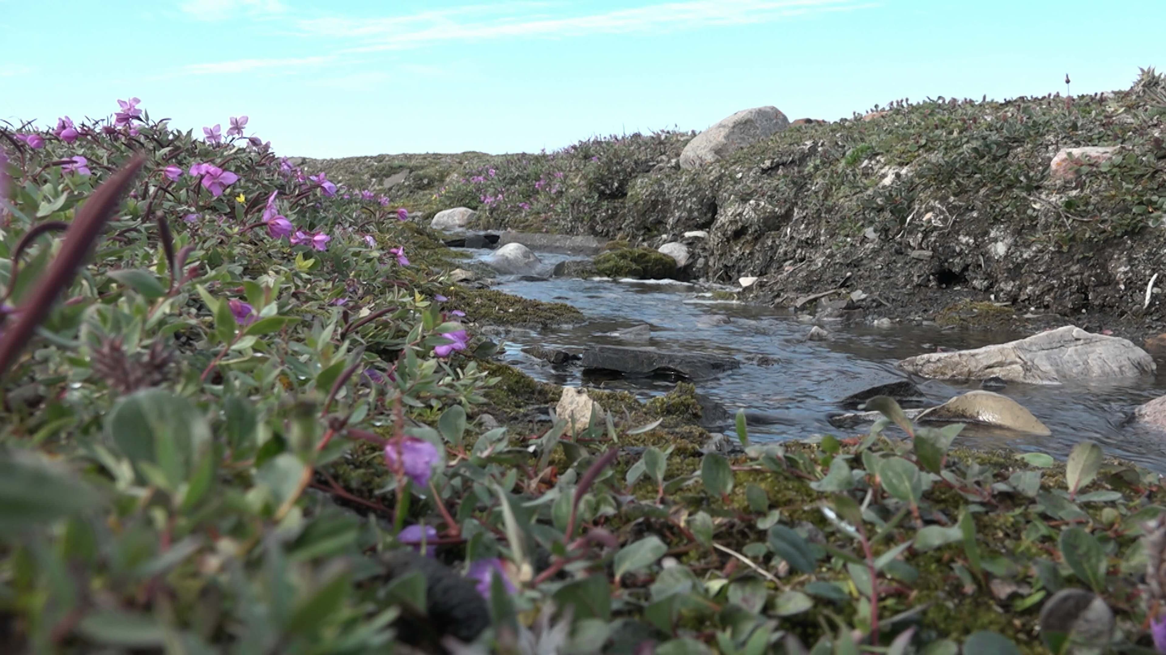 Finding a Path Forward